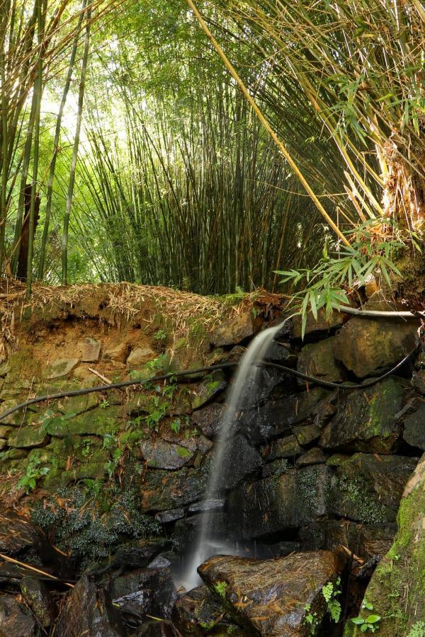 Recanto Dos Beija Flores, Chale Bougainville Monte Alegre do Sul Εξωτερικό φωτογραφία
