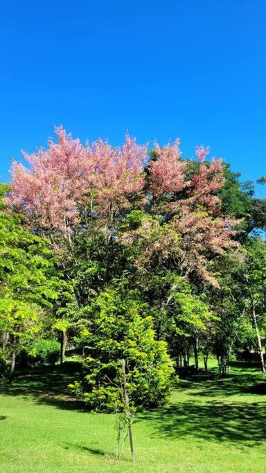 Recanto Dos Beija Flores, Chale Bougainville Monte Alegre do Sul Εξωτερικό φωτογραφία