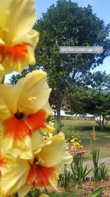 Recanto Dos Beija Flores, Chale Bougainville Monte Alegre do Sul Εξωτερικό φωτογραφία